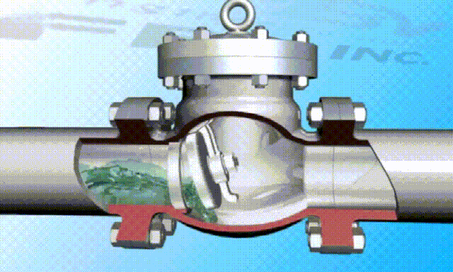 1631936244585011.gif 2.gif