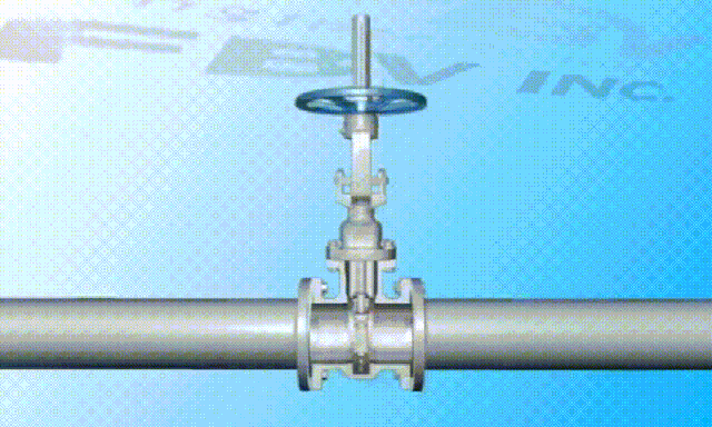 1631936262779291.gif 3.gif